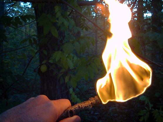Three Simple Ways To Make Torches 101 Ways To Survive