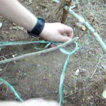 How To Build A Spring Snare Trap.