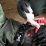 Combat Gauze Z-Fold Training Video