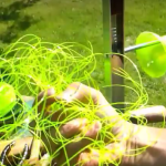 Genius Guy Transforms Plastic Bottles Into Super-Strength Plastic Rope