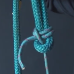 Six Knots You Need To Know