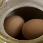The Top 6 Historical Egg Preservation Techniques!