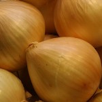 Grow Onions Indoors the Easy Way