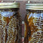 How to Raise Honeybees in Mason Jars