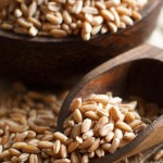 4 Reasons Why Rice is a Food Storage MUST!