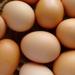 Egg Storage And The Myth of Refrigeration