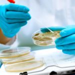 The Growing Listeria Epidemic and What You Can do to Stay Safe