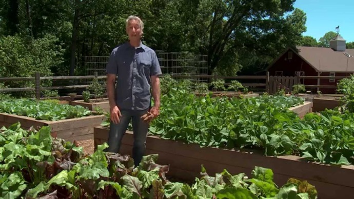 The Advantages of Using Garden Boxes – 101 Ways to Survive