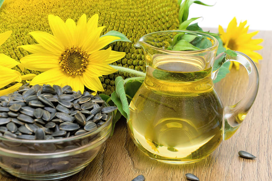 Make Your Own Cooking Oil With Sunflower Seeds 101 Ways to Survive