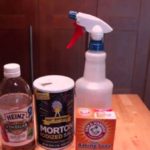 Safe and Easy Homemade Flea Control Solutions