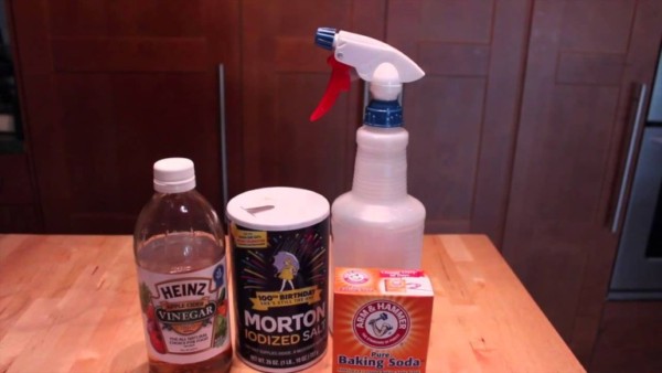 Safe and Easy Homemade Flea Control Solutions – 101 Ways ...