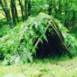 Shelters Using On-Hand Materials