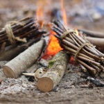Six survival skills you should learn now