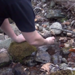 Wilderness Survival Tip – Spring Water