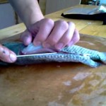 How to Quickly Fillet a Fish