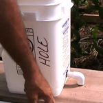 Dutch Bucket Hydroponics – How It Works & How to Make Your Own Buckets