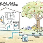 Making Good Use of Greywater on Your Property