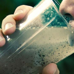 The Importance of Testing Water for Contamination