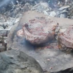 COOKING STEAK ON A STONE-OUTDOOR COOKING