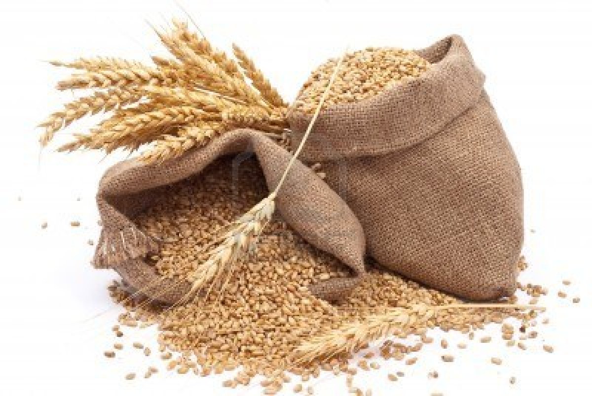 8378327-sacks-of-wheat-grains