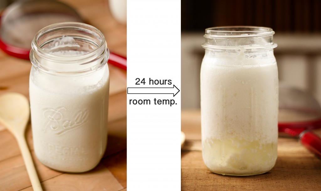 milk-kefir-combine-1024x610