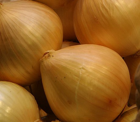 onions-1