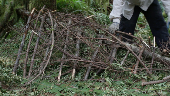 How-to-build-a-survival-shelter-small-branches
