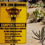 Defending Against a Mountain Lion Attack