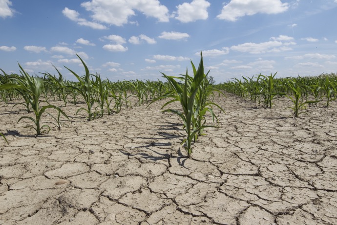 dry-drought-farmland