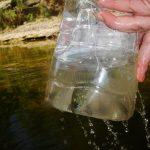 How to Catch Bait and Small Fish With a Plastic Bottle