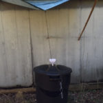 How to Build a Simple Rainwater Collector Without Gutters