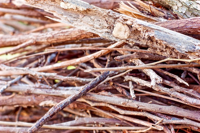 How-to-build-a-campfire-Kindling