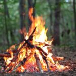 Simple Guide for Gathering Wood and Building a Fire
