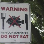 Toxins in Fish and How to Minimize Exposure