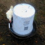 How to Make the Easiest Chicken Watering System Ever