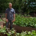 The Advantages of Using Garden Boxes